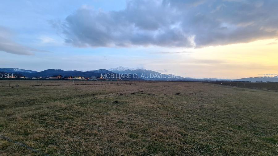 TEREN 1049 mp - INTRAVILAN DE CONSTRUCTII - 9