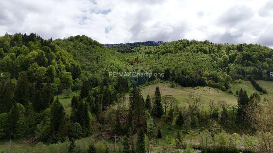Extravilan + Intravilan | Sătic-Rucăr | Cadru natural | Turistic - 2