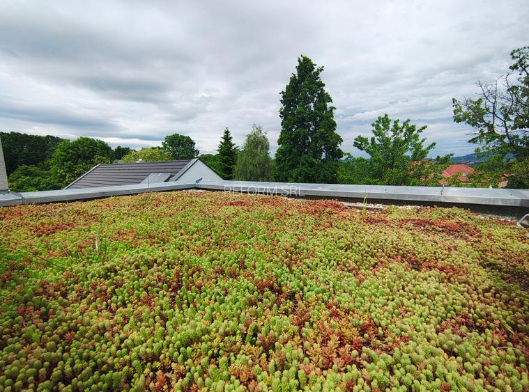 De închiriat | Proprietate premium | ~470–500 mp | Zona Grădina Botanică - 19