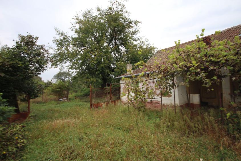 Teren de vânzare - 1900 mp Dumbravita