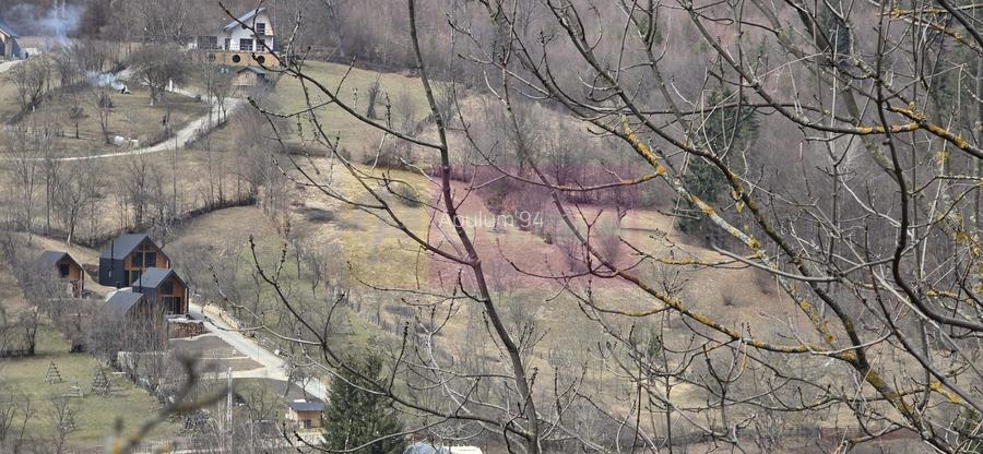 Teren intravilan de vanzare in Valea Doftanei - 11