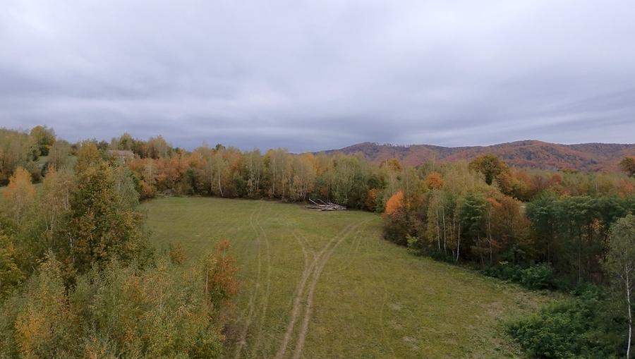 Teren ideal recreere/conectare cu natura/zona Fagaras/achitare in rate
