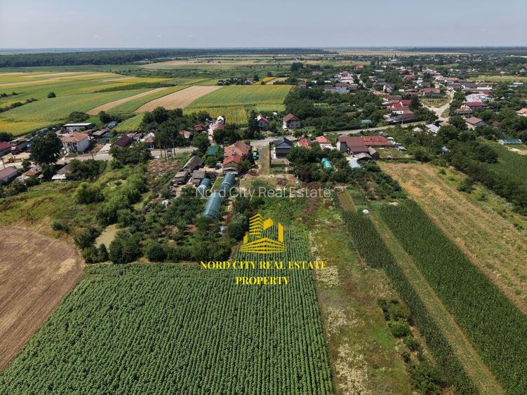 Teren 2.700 mp Ciocănești - Urziceanca | La asfalt - 9