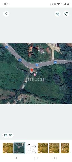 Faneata, intravilan, Varfuri - 2