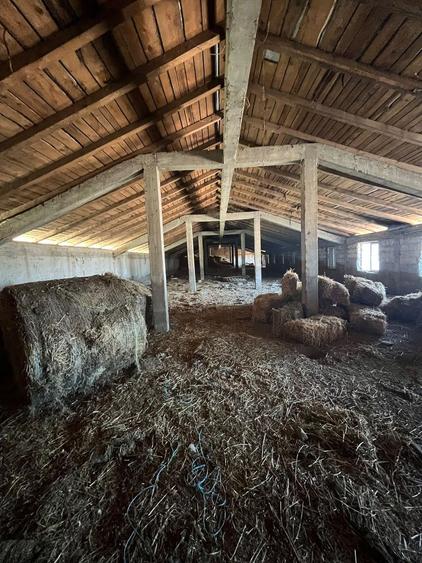 Fermă colectare și îngrașare animale judet Constanta