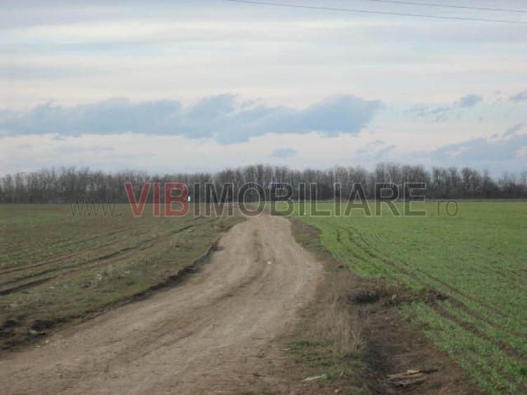 Teren cu dubla deschidere la Lac si Padure ,47 de loturi