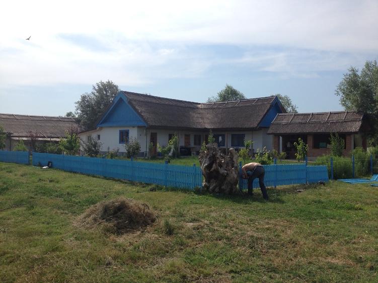 Proprietar vând 2,6 ha de teren parcelat, lângă Dunăre la Nufăru, Tulcea