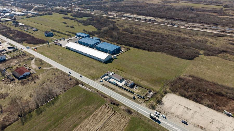 Teren extravilan de 7.000 mp lângă Păltiniș