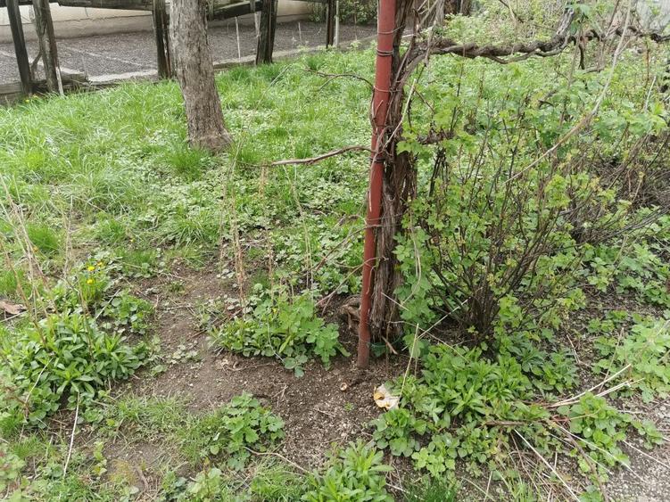 Casa 3 camere libera la vanzare zona Avram Iancu