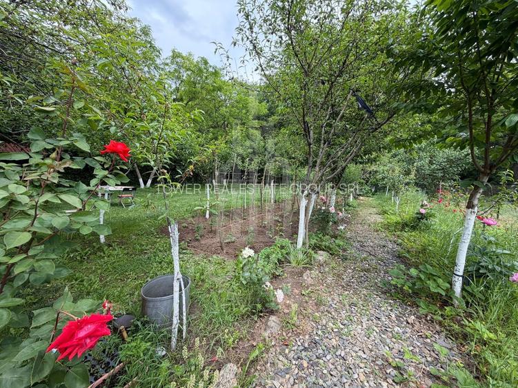OCAZIE RARĂ - Teren cu cabană de vânzare lângă Lacurile Naturale - Ocna Sibiului - 9
