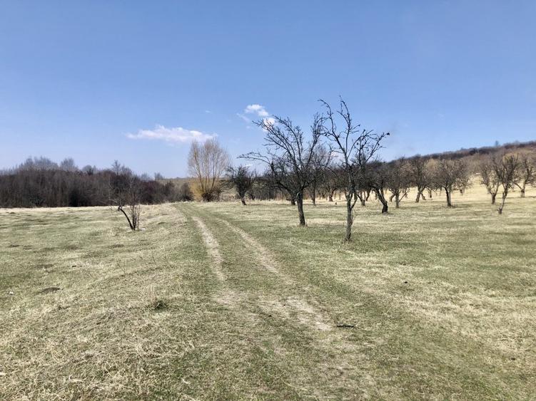 Vanzare teren intravilan- livezi