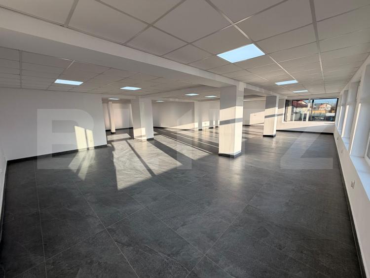 Spațiu 245 mp cu 10 parcări, curte logistică și rampă marfă – DN Raciu