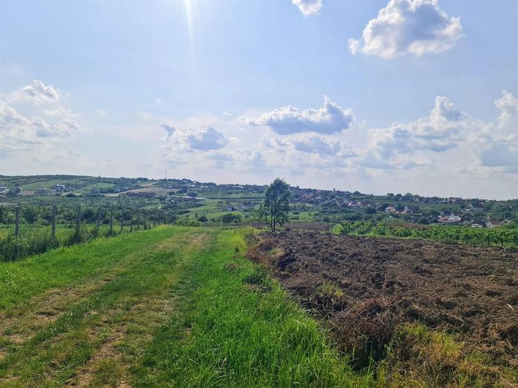 Teren intravilan Zona Gheorghe Doja 1100mp