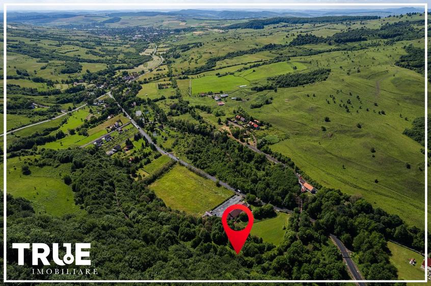 Teren intravilan 2.800 m² în Câmpu Cetății – liniște și natură