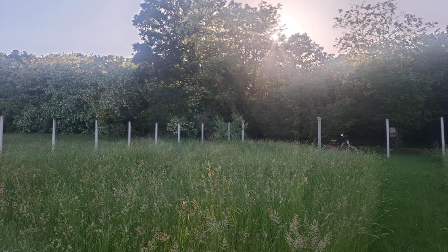 Teren intravilan 809 mp cu deschidere 14 m în Tropinii Noi