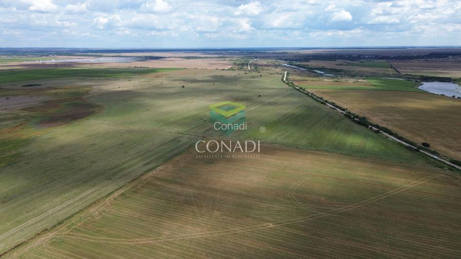 Teren Intravilan - Giurgiu || Comuna Bulbucata - 15,4 Ha