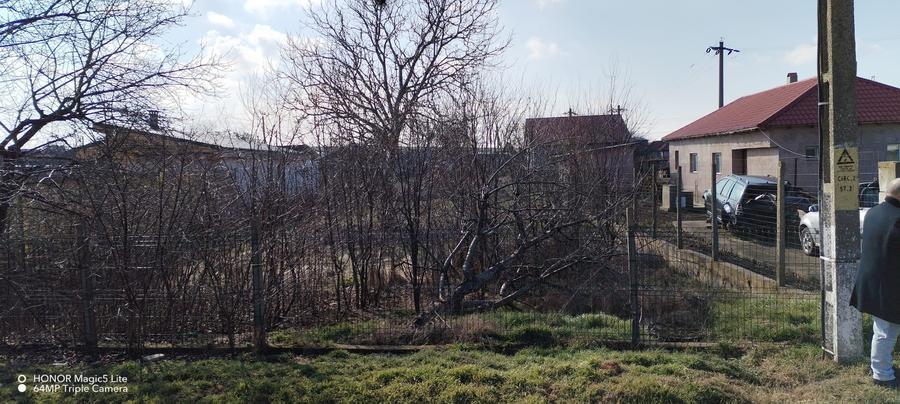 POIANA TEREN DE VANZARE