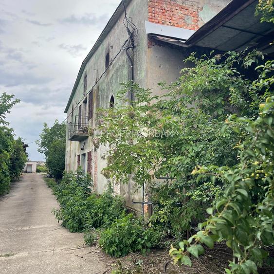 Complex industrial/Ferma de vânzare | Orțișoara, jud. Timiș - 6