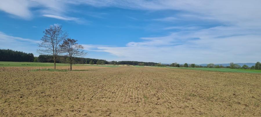 TEREN AGRICOL EXTRAVILAN - RECI - COVASNA