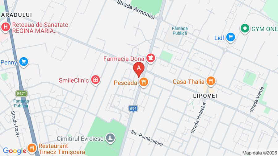 Spatiu comercial Lipovei