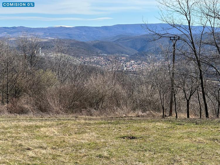 Teren 9220 mp, Resita, Extravilan