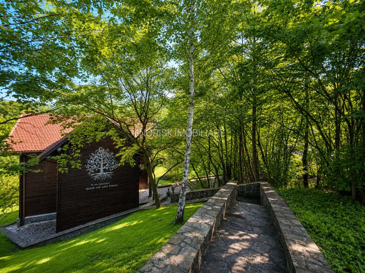 Mountain Chalet | Private Resort | Investment - Nistoresti - 2