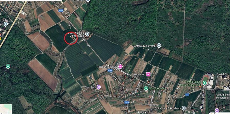 Ciolpani, spre Izvorani - COR, vanzare teren 5000mp.