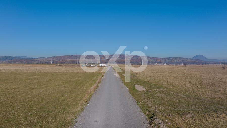 Teren 11.600 mp – Râșnov, zona Tabăra, 230 m de DN 73
