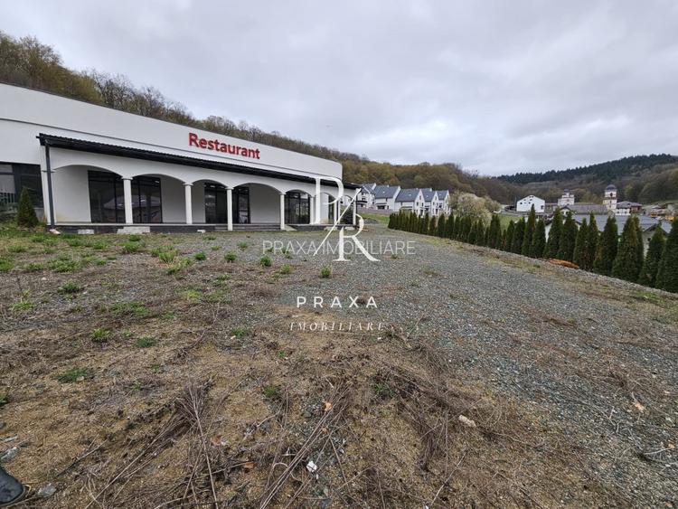 EXCLUSIVITATE! Teren de vanzare, 5.000 mp+ Restaurant mobilat si utilat! - 16