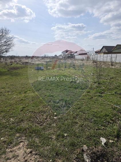 Teren  Balotesti Dumbraveni  16.700 mp /8350 mp /loturi 500 mp - 4