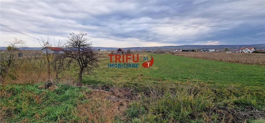 Teren 2160mp în Partoș