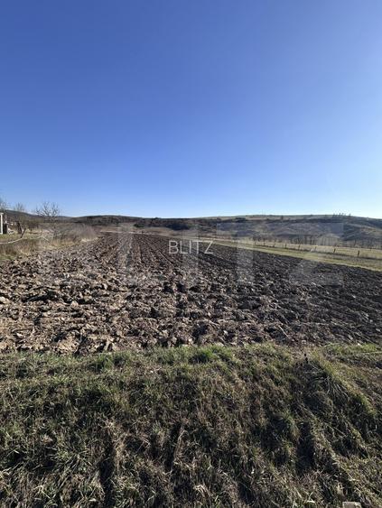 Teren intravilan 5.800 mp, potențial de parcelare-construcție, zona Samarghita