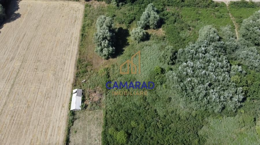 Teren de vânzare | Deschidere la Dunare | Băltenii de Sus, Com. Beștepe, Tulcea