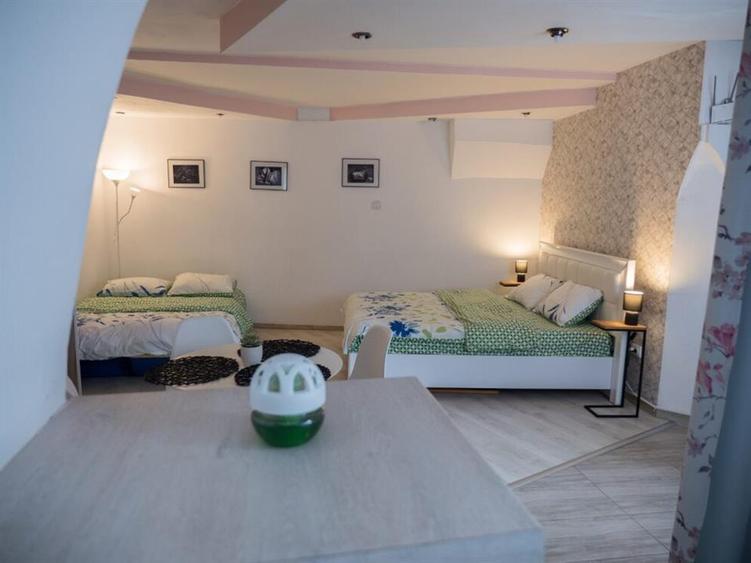 Apartament cu o camera zona Centrala