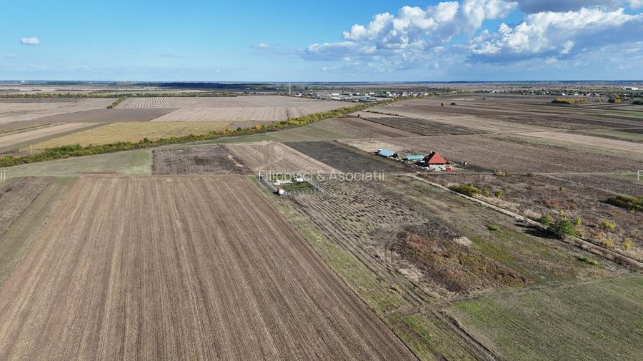 Refugiu la marginea padurii — 2822 mp de liniste in Cocani. - 9