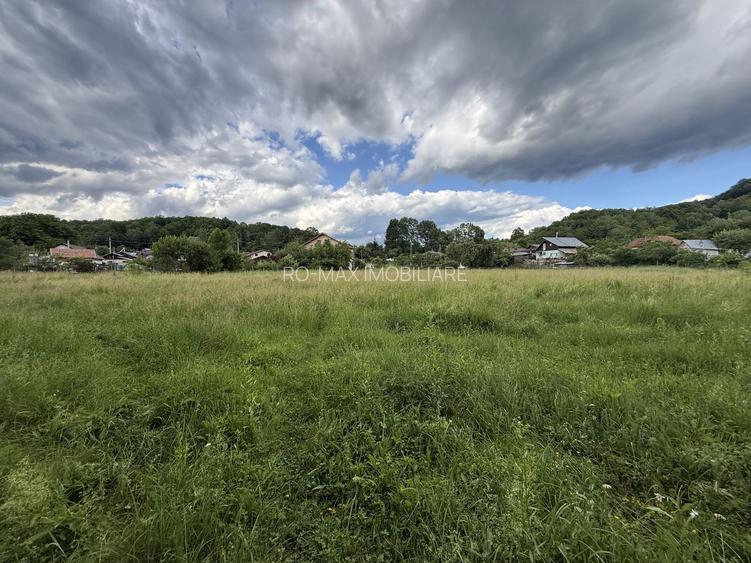 Teren plat-intravilan -3800 mp, cu pădurice și ieșire la râu! - 4