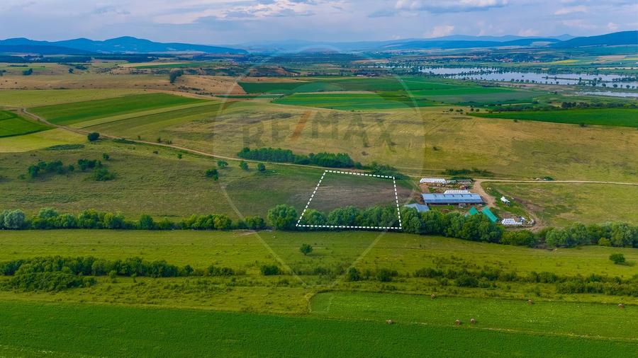Oportunitate pentru fermieri: 10.800 mp teren arabil în Rotbav, Brașov