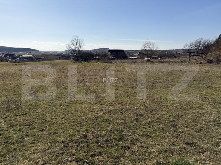 Teren intravilan in localitatea Hereclean in suprafata de 5800 mp - 2
