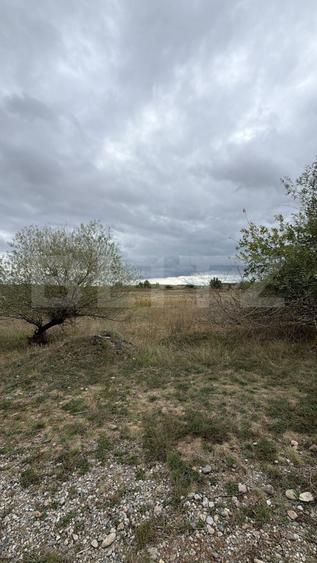 Teren de vânzare – 6.600 mp, Cornești, Mihai Viteazu