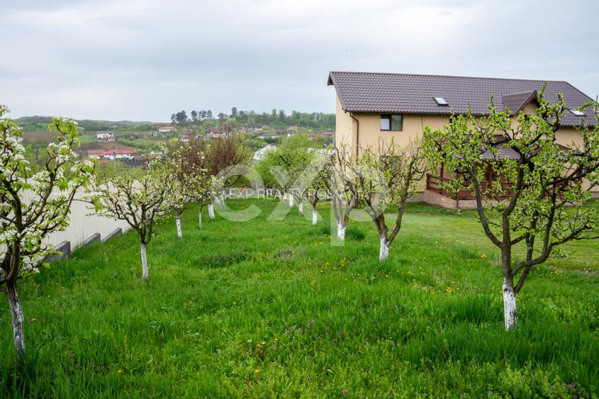 Proprietate unică, în zonă verde și liniștita - 8