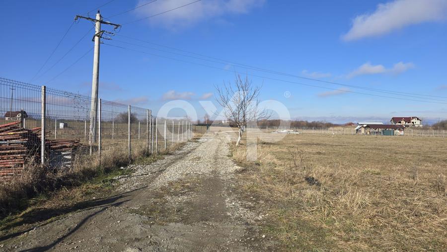 Teren 3.120 mp cu potențial de dezvoltare – Săcele | Posibilitate PUZ