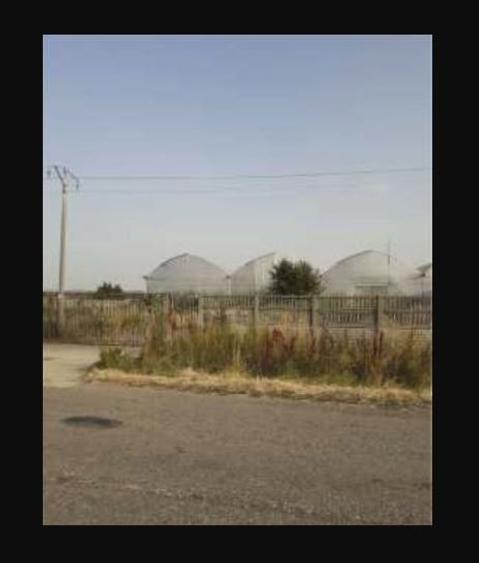 Spațiu industrial, 7300 mp în Uivar