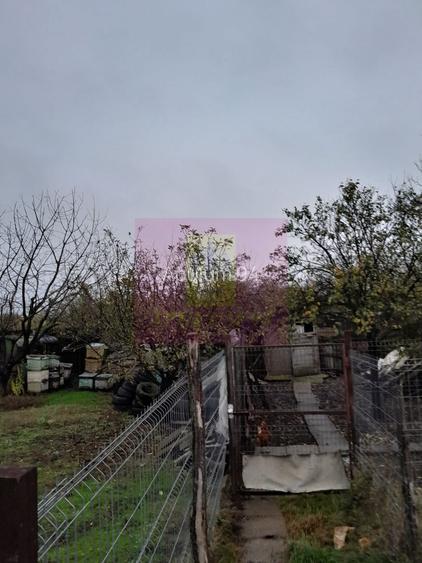ILFOV - SE VINDE CASA IN ISLAZ / COM. BRANESTI - 39