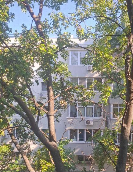 Lacul Tei,Maica Domnului aproape Parcul Circului