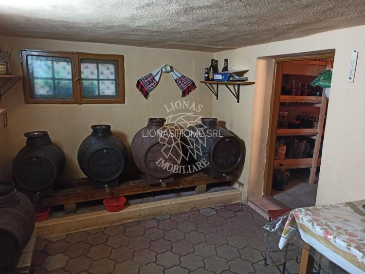 Casa 190 mp-teren 1860 mp-garaj-curte amenajata-Valea Sigmirului - 12