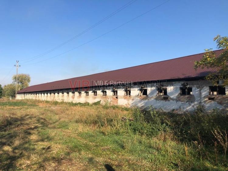 Ferma complet utilată – 30 ha teren comasat Timiș – Comuna Biled