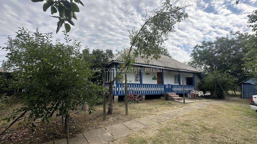 Casa Traditionala in Lunca Corbului - Arges - 4