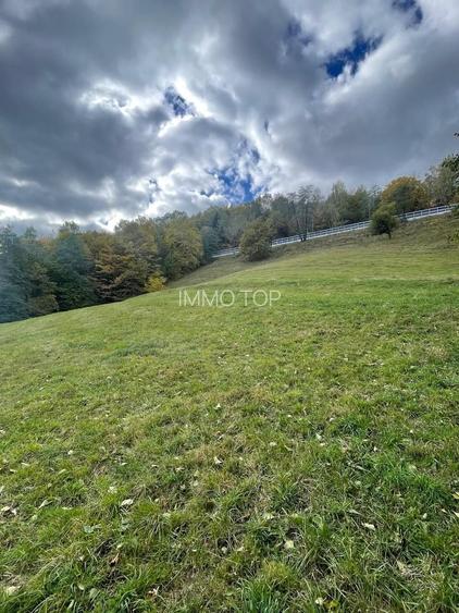 Teren extravilan cu priveliste catre Bucegi – Moieciu de Jos 4.700 mp - 8