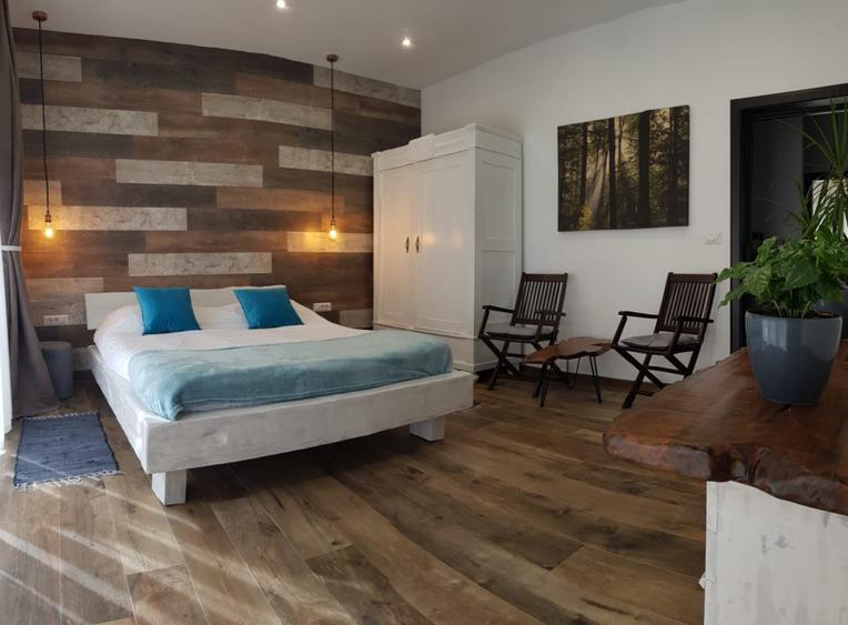 Casa Lux Mediteraniana cu 1620 mp. teren mobilata utilata CETATE cazare pensiune