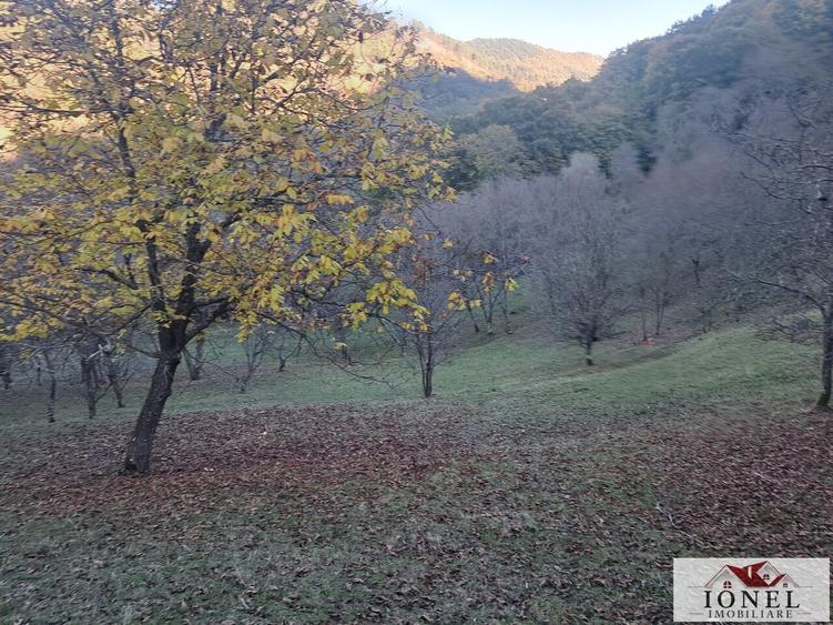 Vanzare casa cu 17.399 mp teren in Vintu de Jos - Valea Vintului